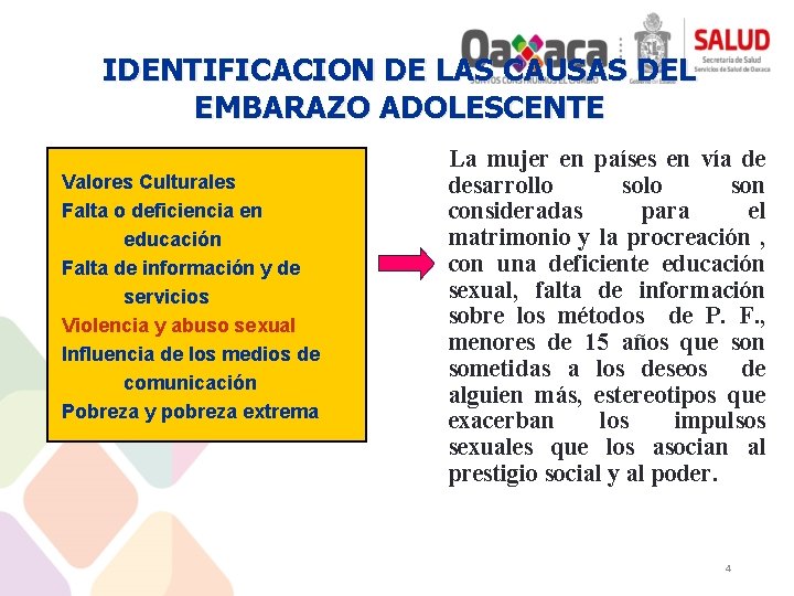 IDENTIFICACION DE LAS CAUSAS DEL EMBARAZO ADOLESCENTE Valores Culturales Falta o deficiencia en educación