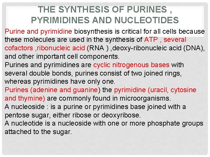 THE SYNTHESIS OF PURINES , PYRIMIDINES AND NUCLEOTIDES Purine and pyrimidine biosynthesis is critical