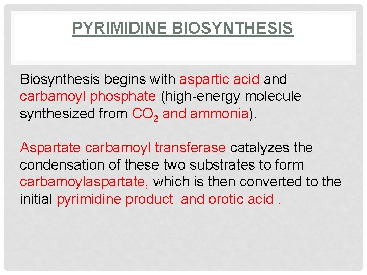 PYRIMIDINE BIOSYNTHESIS Biosynthesis begins with aspartic acid and carbamoyl phosphate (high-energy molecule synthesized from