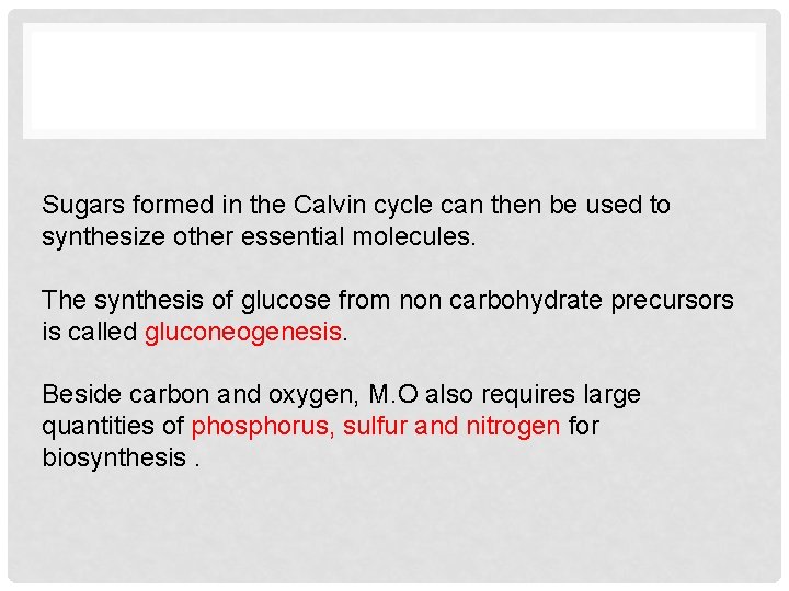 Sugars formed in the Calvin cycle can then be used to synthesize other essential