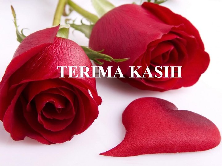 TERIMA KASIH 无� PPT整理�布 