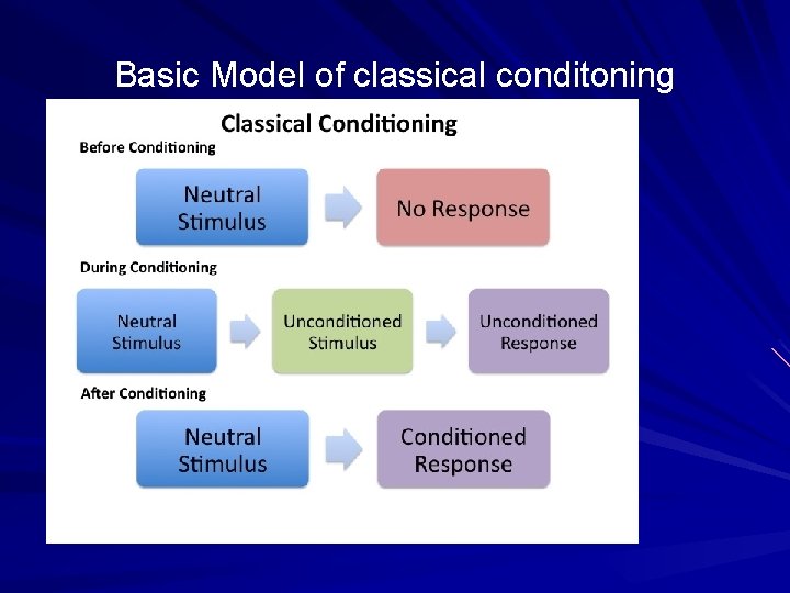 Basic Model of classical conditoning 