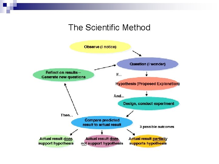 The Scientific Method 