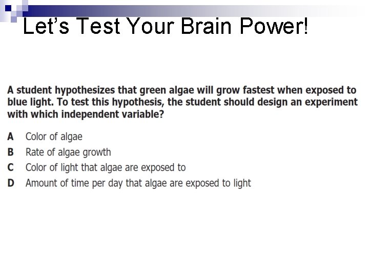 Let’s Test Your Brain Power! 