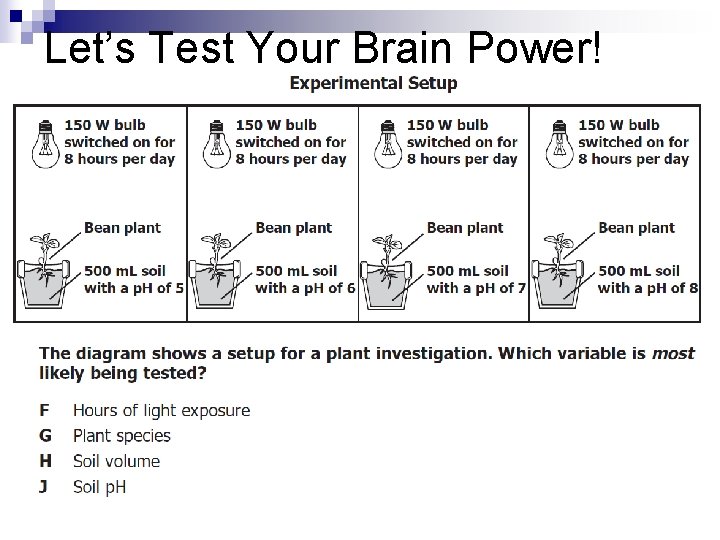 Let’s Test Your Brain Power! 