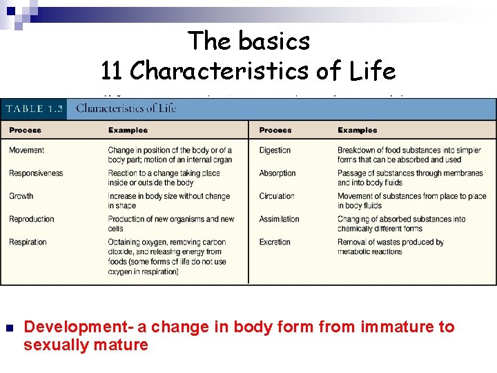 The basics 11 Characteristics of Life n Development- a change in body form from