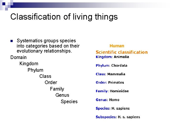 Classification of living things Systematics groups species into categories based on their evolutionary relationships.