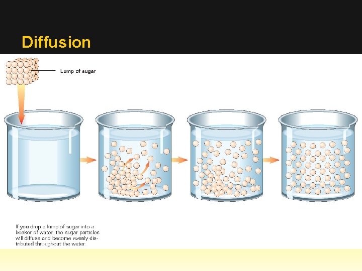 Diffusion 