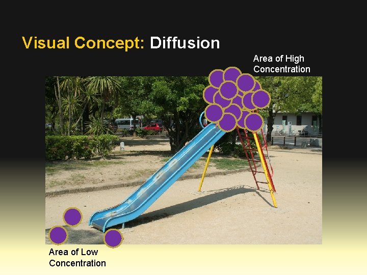 Visual Concept: Diffusion Area of High Concentration Area of Low Concentration 