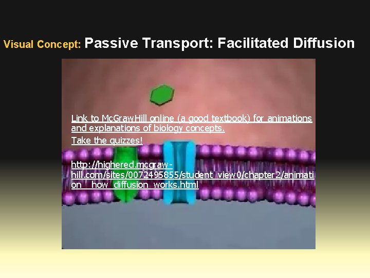Visual Concept: Passive Transport: Facilitated Diffusion Link to Mc. Graw. Hill online (a good