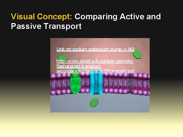 Visual Concept: Comparing Active and Passive Transport Link on sodium potassium pump = NO