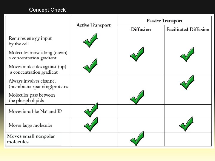 Concept Check 