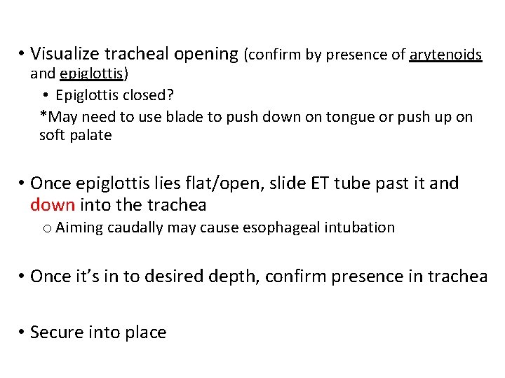  • Visualize tracheal opening (confirm by presence of arytenoids and epiglottis) • Epiglottis