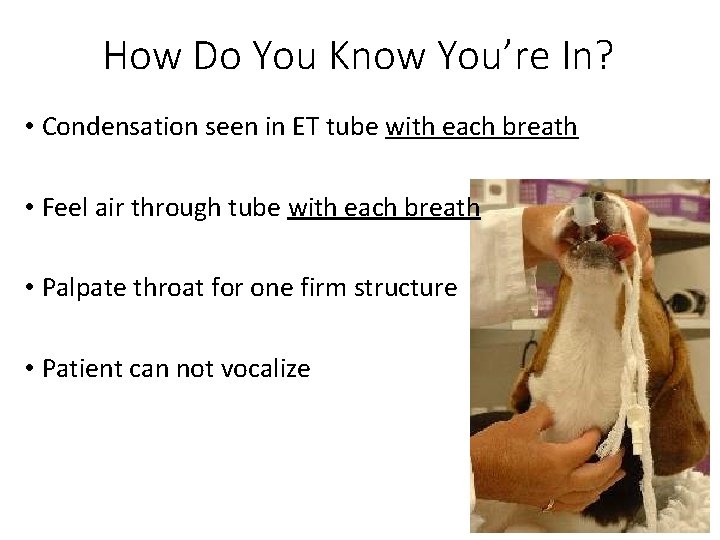 How Do You Know You’re In? • Condensation seen in ET tube with each