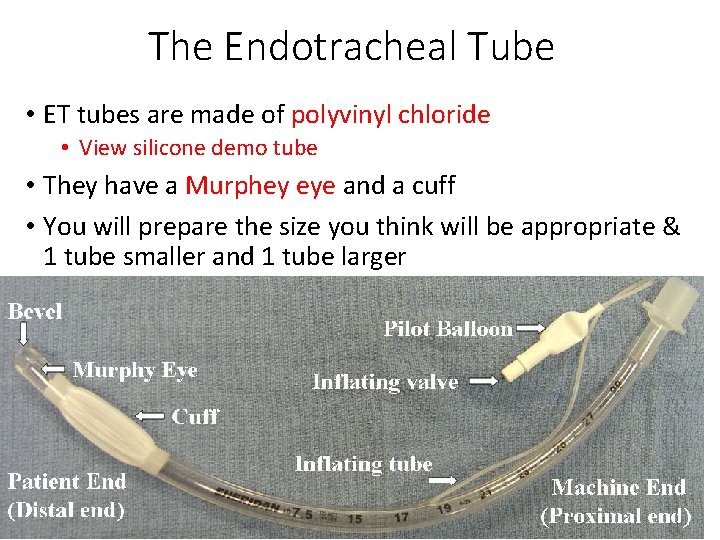 The Endotracheal Tube • ET tubes are made of polyvinyl chloride • View silicone