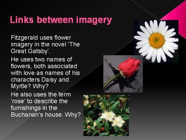 Links between imagery Fitzgerald uses flower imagery in the novel ‘The Great Gatsby’. He