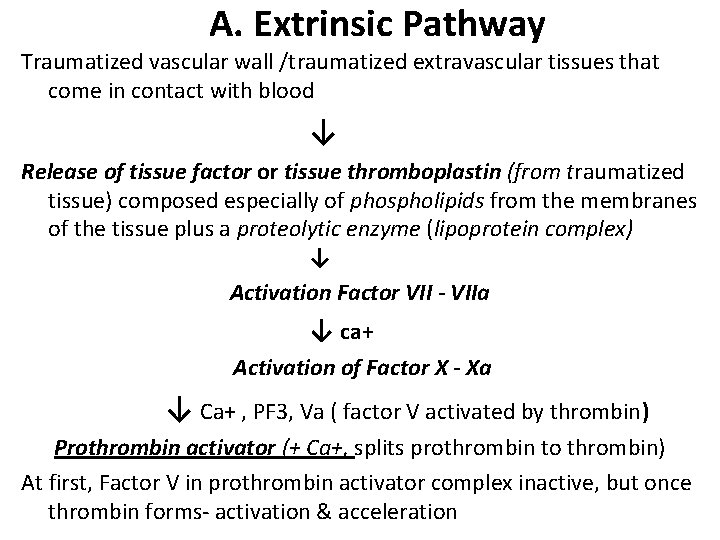 A. Extrinsic Pathway Traumatized vascular wall /traumatized extravascular tissues that come in contact with