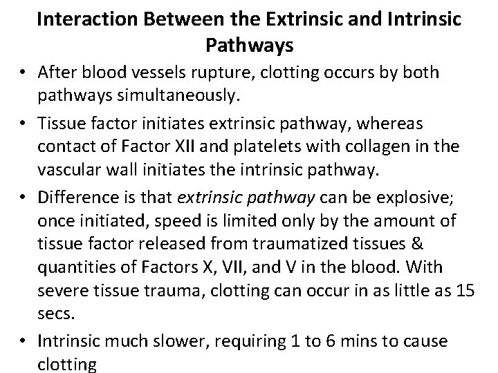 Interaction Between the Extrinsic and Intrinsic Pathways • After blood vessels rupture, clotting occurs