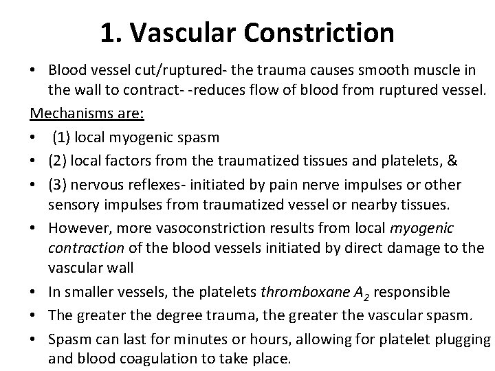 1. Vascular Constriction • Blood vessel cut/ruptured- the trauma causes smooth muscle in the