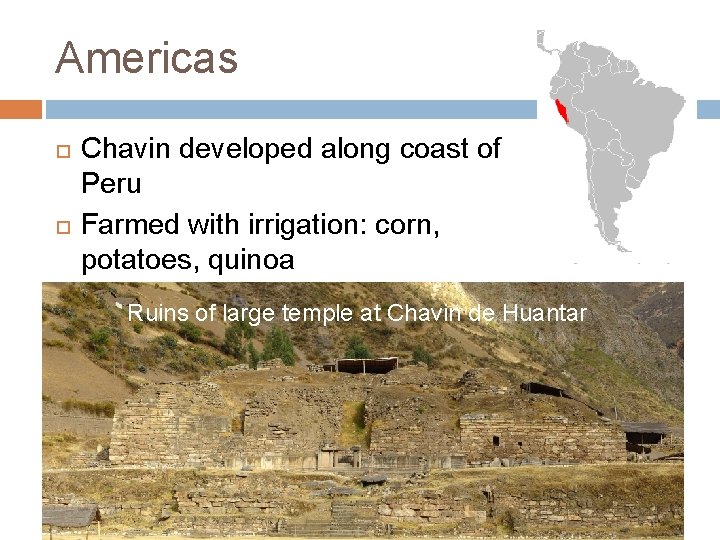 Americas Chavin developed along coast of Peru Farmed with irrigation: corn, potatoes, quinoa Domesticated