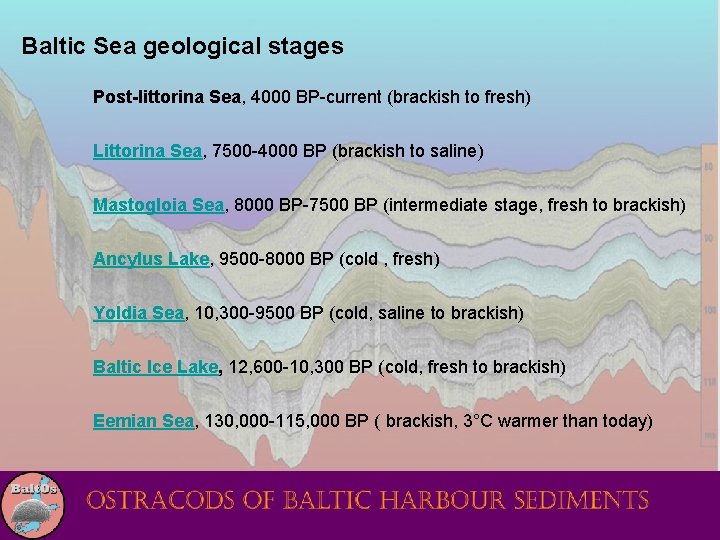 Baltic Sea geological stages Post-littorina Sea, 4000 BP-current (brackish to fresh) Littorina Sea, 7500
