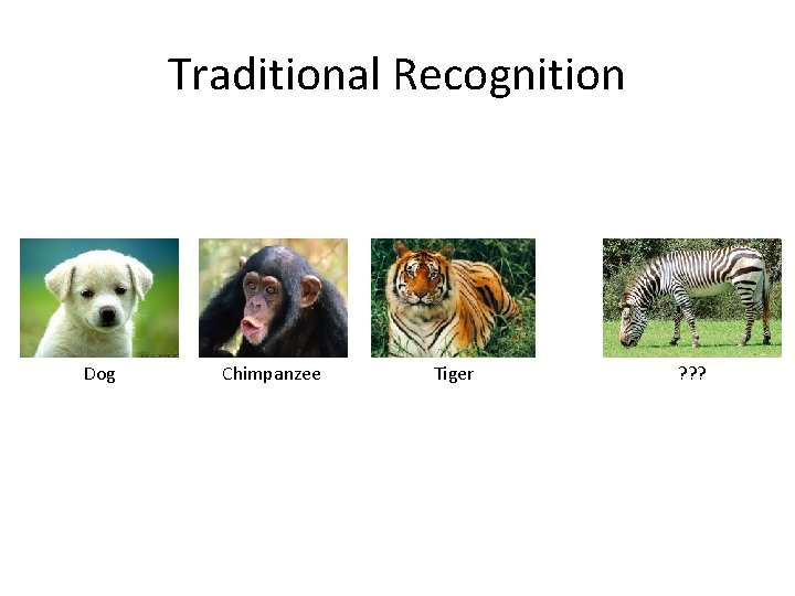 Traditional Recognition Dog Chimpanzee Tiger ? ? ? 