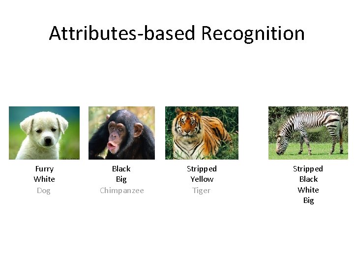Attributes-based Recognition Furry White Dog Black Big Chimpanzee Stripped Yellow Tiger Stripped Black White