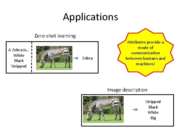 Applications Zero-shot learning A Zebra is… White Black Stripped Zebra Attributes provide a mode