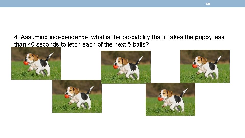 45 4. Assuming independence, what is the probability that it takes the puppy less