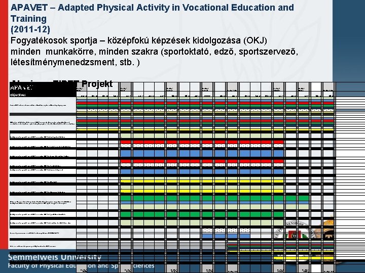 APAVET – Adapted Physical Activity in Vocational Education and Training (2011 -12) Fogyatékosok sportja