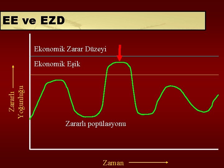 EE ve EZD Ekonomik Zarar Düzeyi Zararlı Yoğunluğu Ekonomik Eşik Zararlı popülasyonu Zaman 