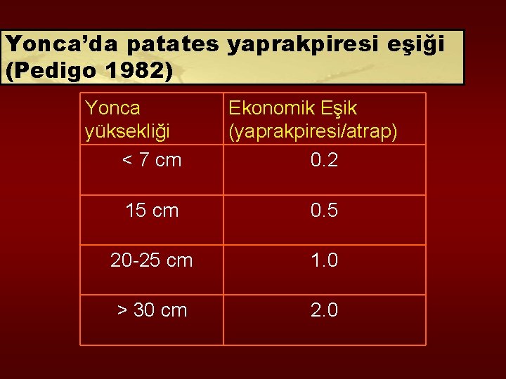 Yonca’da patates yaprakpiresi eşiği (Pedigo 1982) Yonca yüksekliği < 7 cm Ekonomik Eşik (yaprakpiresi/atrap)