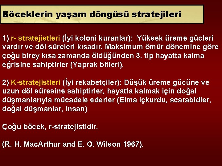 Böceklerin yaşam döngüsü stratejileri 1) r- stratejistleri (İyi koloni kuranlar): Yüksek üreme gücleri vardır