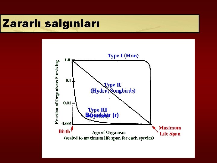 Zararlı salgınları Böcekler (r) 