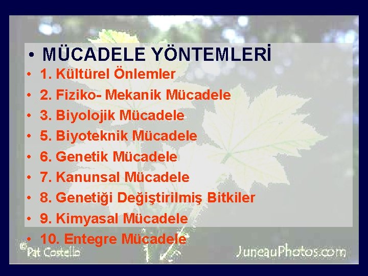  • MÜCADELE YÖNTEMLERİ • • • 1. Kültürel Önlemler 2. Fiziko- Mekanik Mücadele