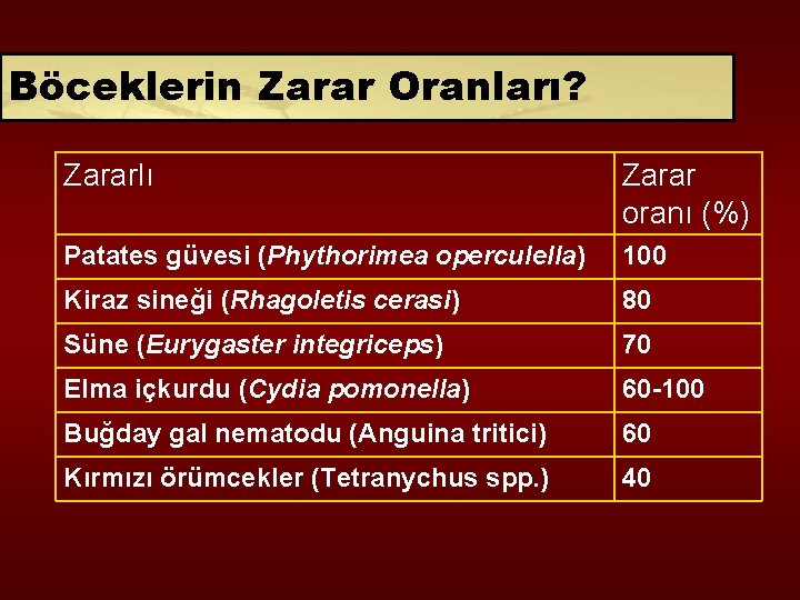 Böceklerin Zarar Oranları? Zararlı Zarar oranı (%) Patates güvesi (Phythorimea operculella) 100 Kiraz sineği