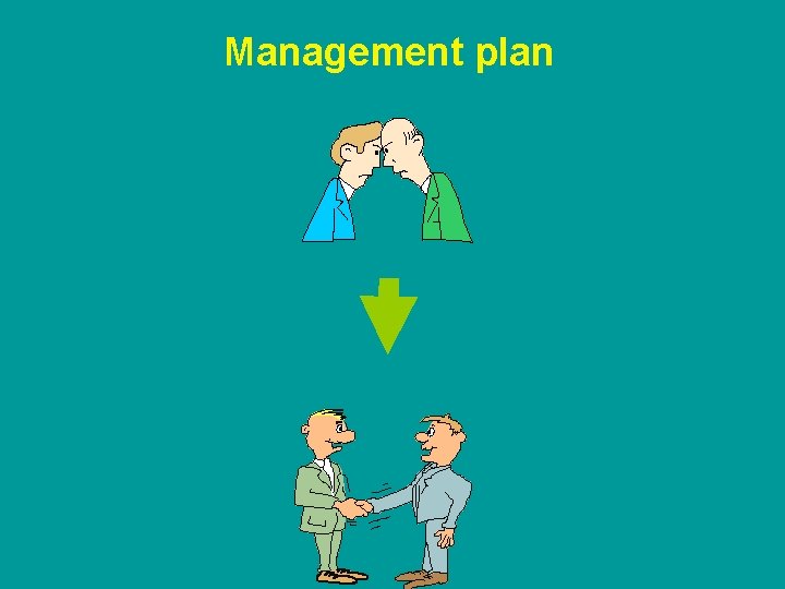 Management plan 