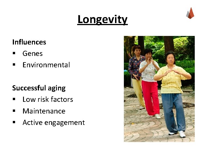 Longevity Influences § Genes § Environmental Successful aging § Low risk factors § Maintenance