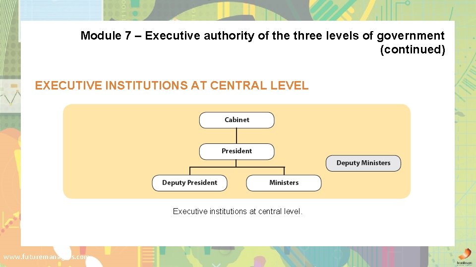 Module 7 – Executive authority of the three levels of government (continued) EXECUTIVE INSTITUTIONS