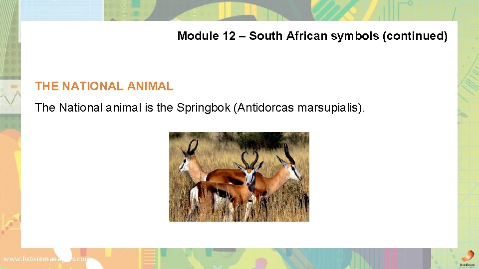 Module 12 – South African symbols (continued) THE NATIONAL ANIMAL The National animal is
