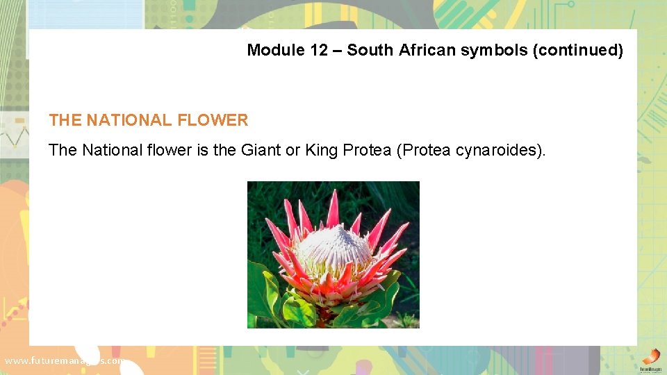 Module 12 – South African symbols (continued) THE NATIONAL FLOWER The National flower is