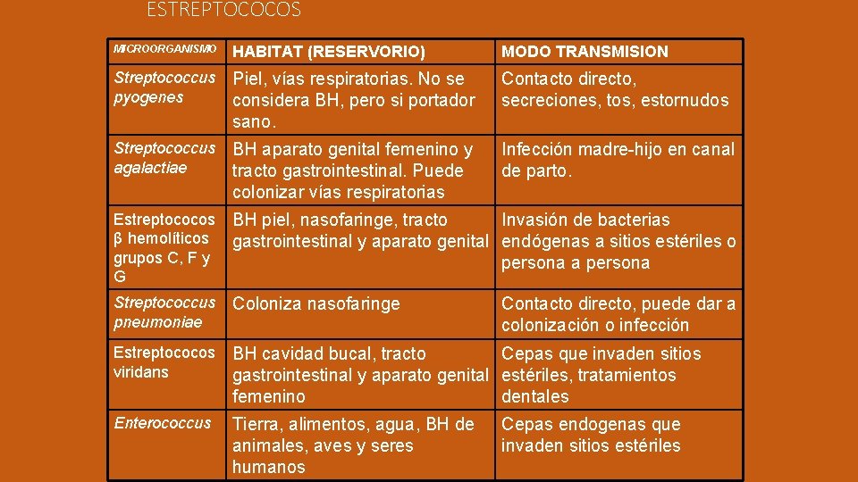 ESTREPTOCOCOS MICROORGANISMO HABITAT (RESERVORIO) MODO TRANSMISION Streptococcus pyogenes Piel, vías respiratorias. No se considera