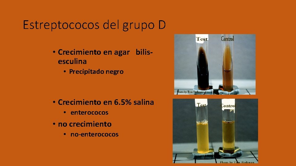 Estreptococos del grupo D • Crecimiento en agar bilisesculina • Precipitado negro • Crecimiento