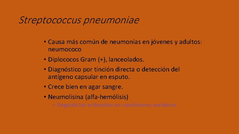 Streptococcus pneumoniae • Causa más común de neumonías en jóvenes y adultos: neumococo •