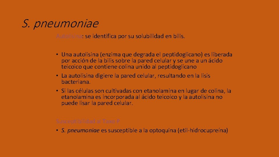 S. pneumoniae Autolisina: se identifica por su solubilidad en bilis. • Una autolisina (enzima