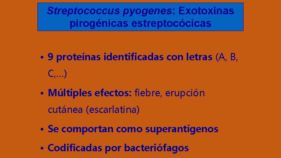 Streptococcus pyogenes: Exotoxinas pirogénicas estreptocócicas • 9 proteínas identificadas con letras (A, B, C,