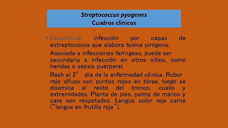 Streptococcus pyogenes Cuadros clínicos • Escarlatina: infección por cepas de estreptococos que elabora toxina