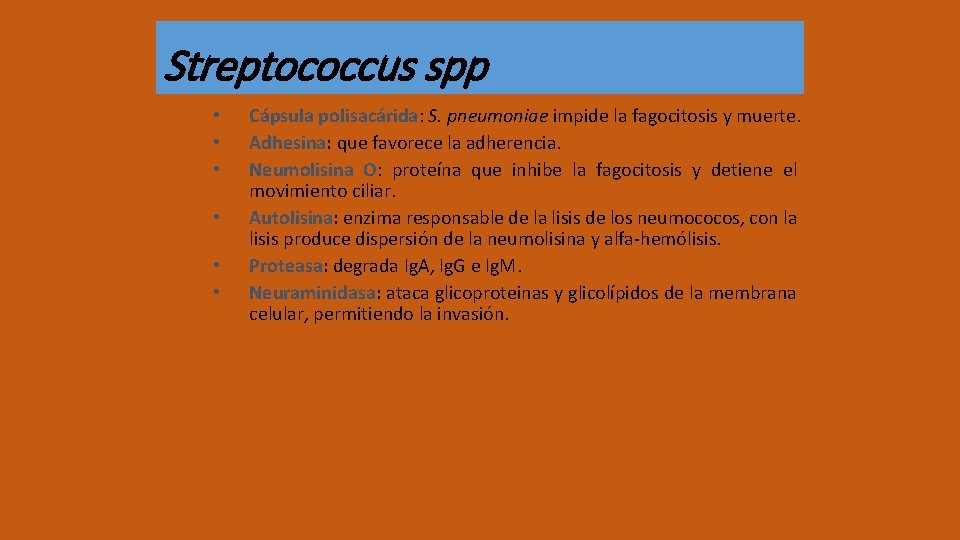 Streptococcus spp • • • Cápsula polisacárida: S. pneumoniae impide la fagocitosis y muerte.