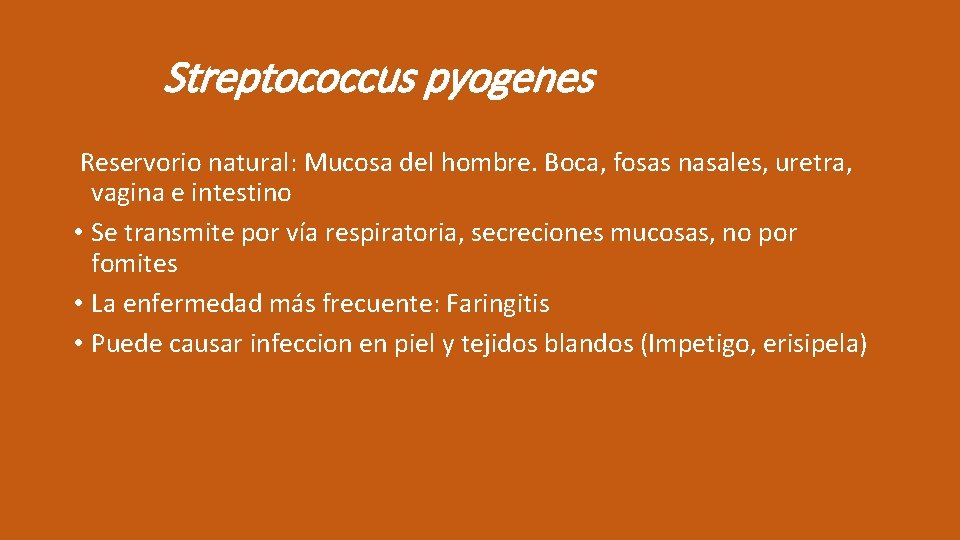 Streptococcus pyogenes Reservorio natural: Mucosa del hombre. Boca, fosas nasales, uretra, vagina e intestino