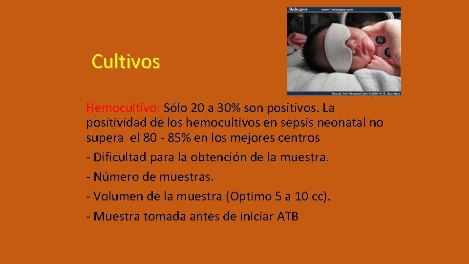 Cultivos Hemocultivo: Sólo 20 a 30% son positivos. La positividad de los hemocultivos en